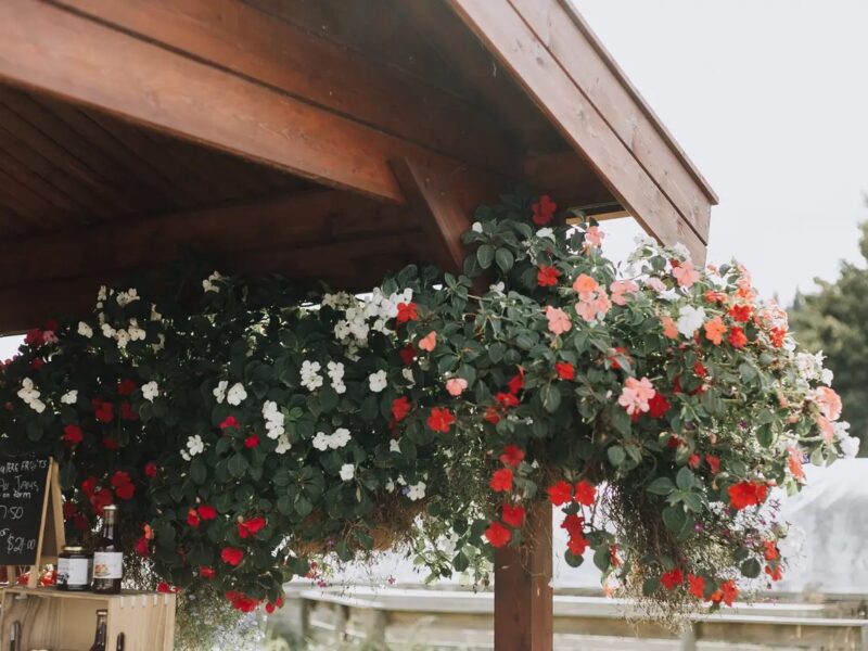 Star Cabin Canopy Kitset