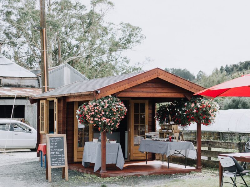 Star Cabin Canopy Kitset